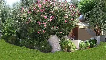 Hotel Il Melograno Mattinata