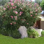 Hotel Il Melograno Mattinata