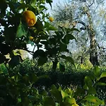 Il Melograno 3* Mattinata