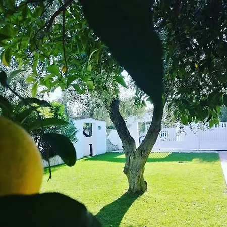 Il Melograno Otel Mattinata