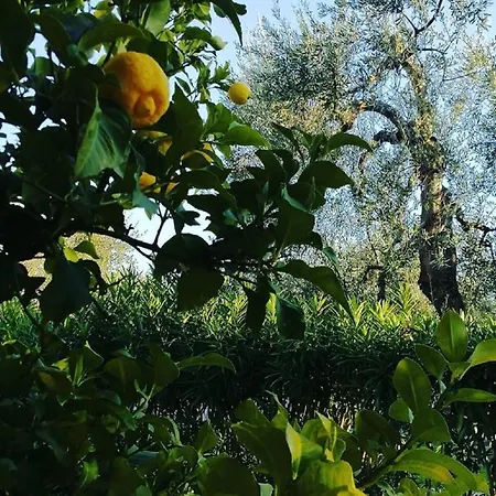 Il Melograno 3* Mattinata